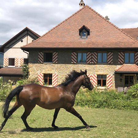 Ferme De Grandchamp Apartment Boudry Exterior foto