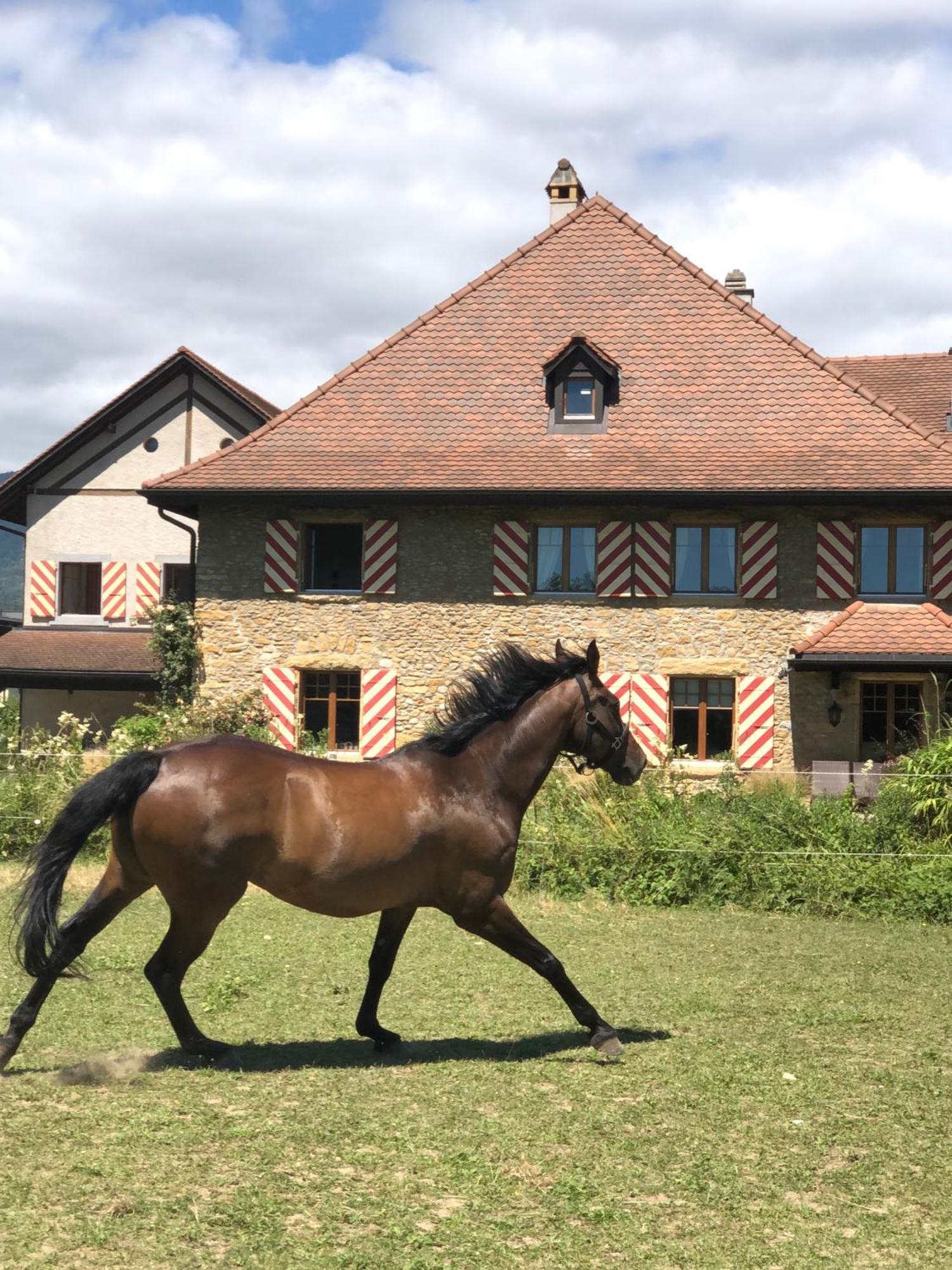 Ferme De Grandchamp Apartment Boudry Exterior foto